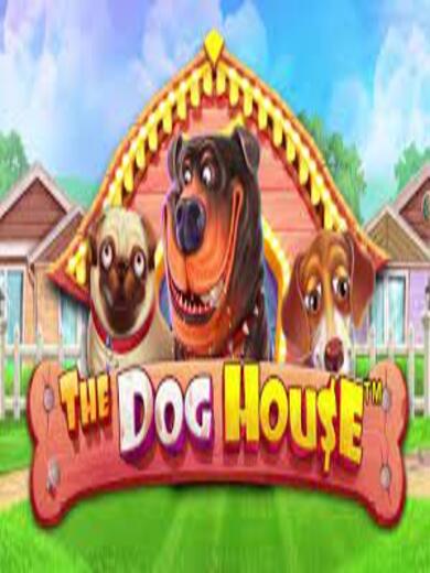 TheDogHouseM